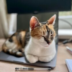 Celka